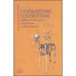 L'EVOLUZIONE COSTRUTTIVA.