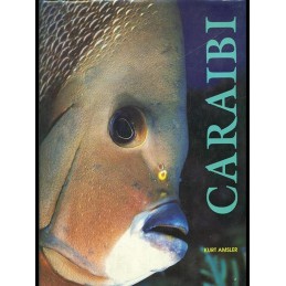 CARAIBI