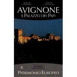 Avignone. Il palazzo dei papi